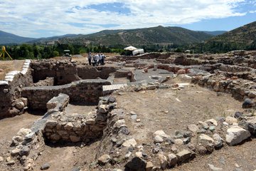 عرض الصورة على تويتر