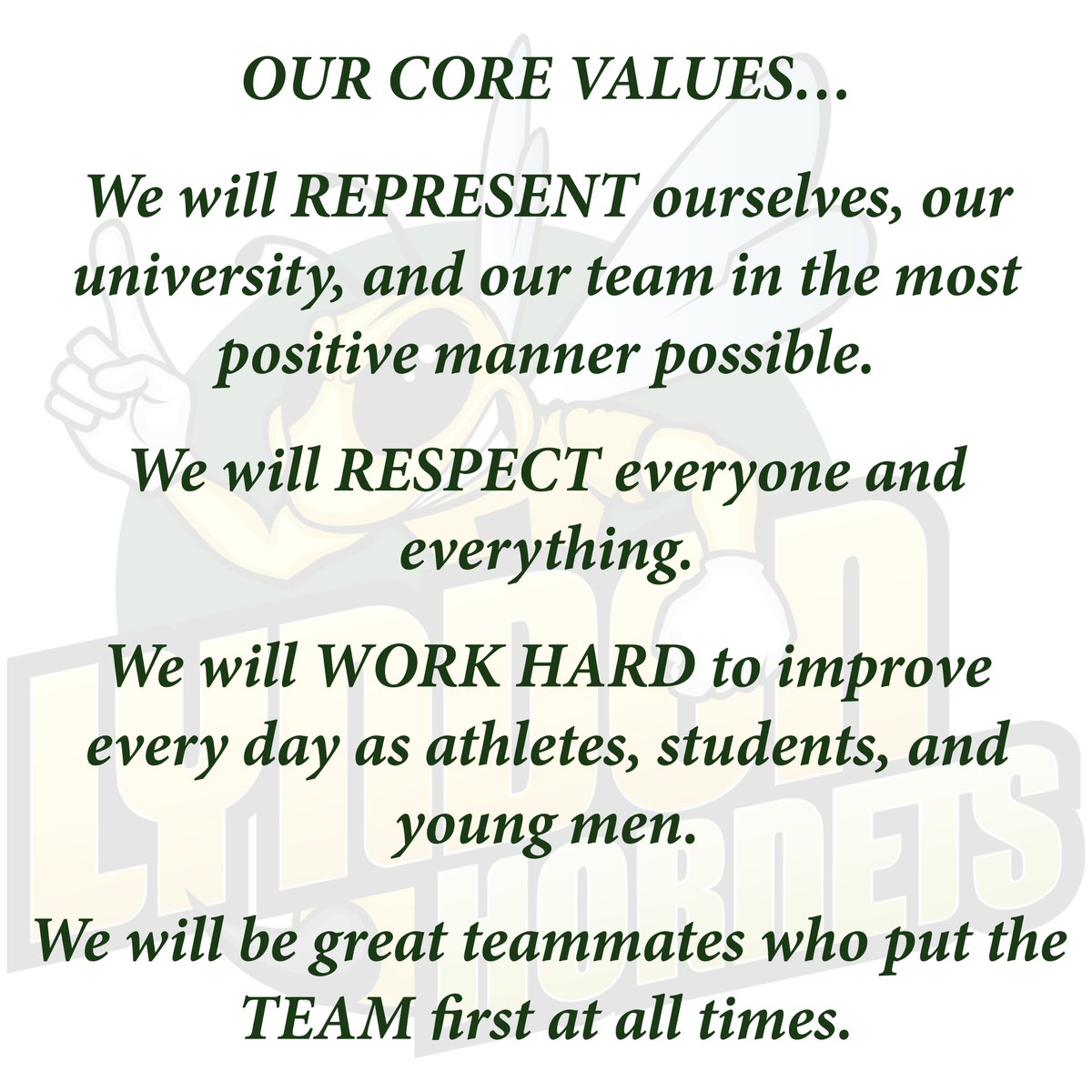 Vermont State University Lyndon Basketball tweet media