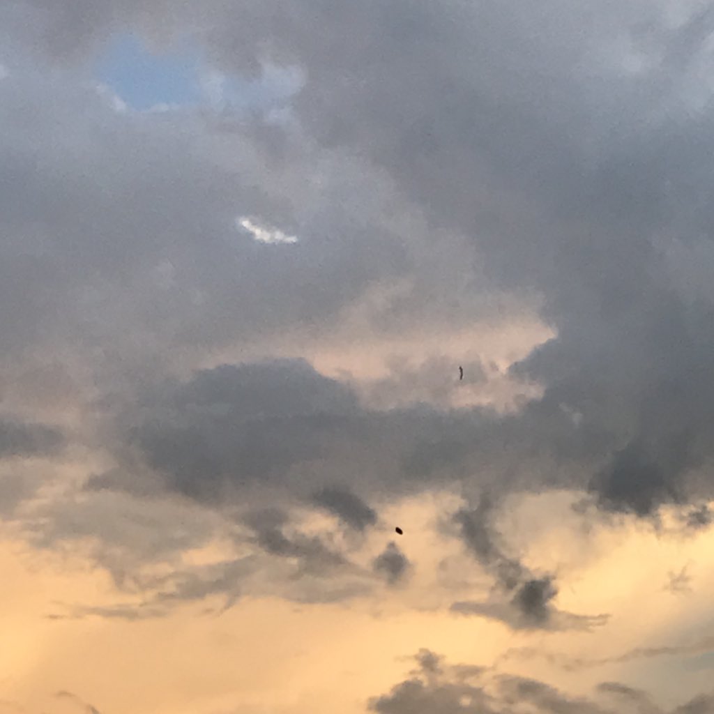 gxtmoons's tweet photo. soft https://t.co/imXtmcizgX