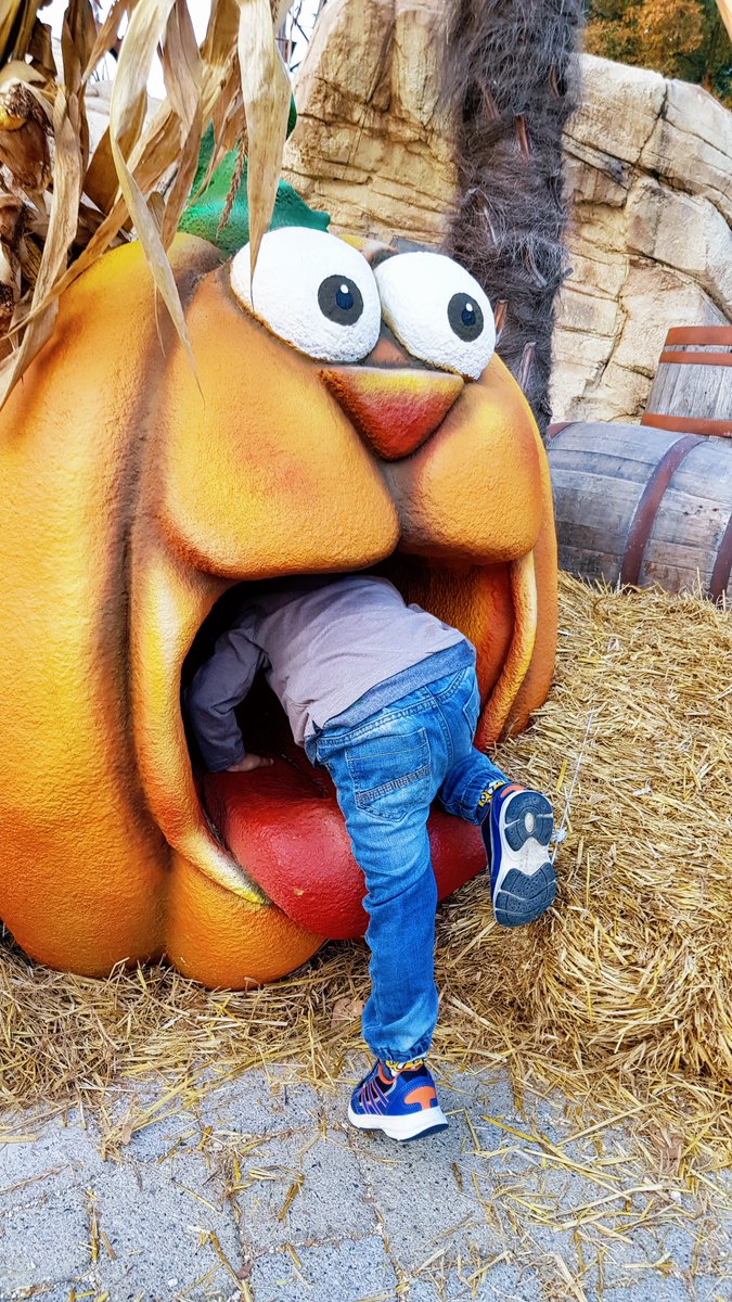 3cuorie1valigia's tweet photo. Il suggestivo allestimento di #HalLEOween di @Leolandia è davvero da non perdere!
E con i biglietti di @Musement niente code in biglietteria ma dritti all'ingresso per non perdere neanche un attimo in compagnia dei suoi personaggi più amati! #Halloween2018 https://t.co/kV6OULn6z3