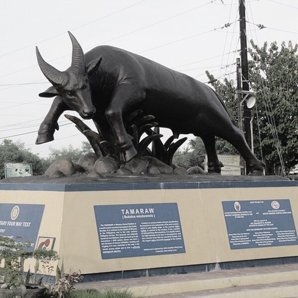 florenzsomigao's tweet photo. Alam mo bang ka-unti nalang ang tamaraw na nakikita lang sa Pilipinas
Dapat di mo hahayang maging mga iskuptura nalang sila katulad nito
Kung mahal mo ang BAYAN mo (PILIPINAS) o Kalikasan
At Kung mahal mo ang mga hayop
Ipalaganap itong kaalaman #HatawTamaraw2018 #Tweetams https://t.co/x5jc0i6PQa