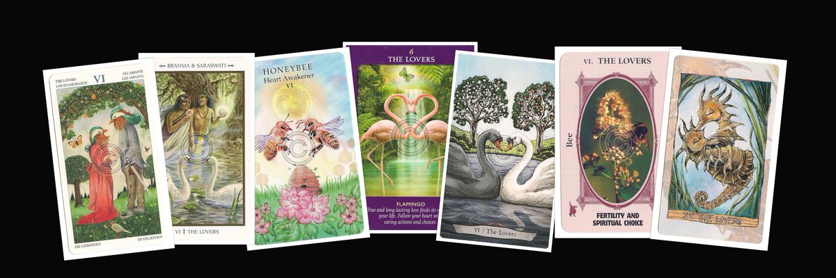 zannastarr's tweet photo. Today on Tarot Notes - Animal Tarot Time: The Lovers https://t.co/98PxfTQQq1 #tarot #tarotnotes #zannastarr #animals #animaltarotcards https://t.co/dVevRHPW1r