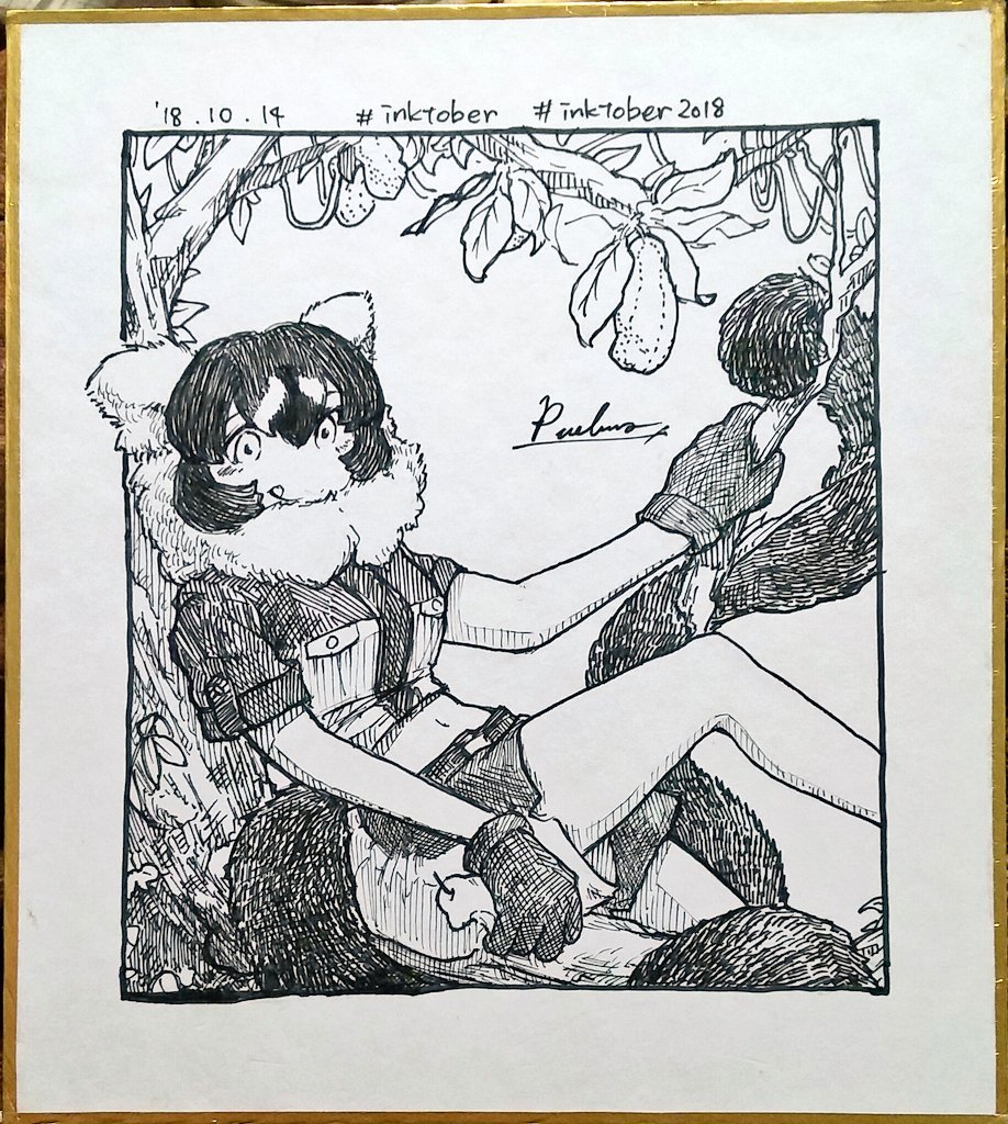 14日目。初描きエリマキキツネザルさん!
#inktober #inktober2018 