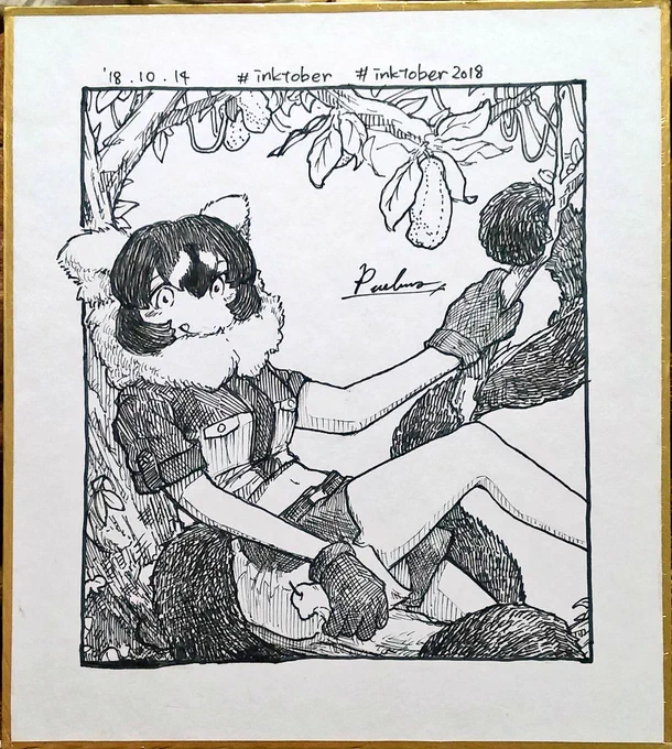 14日目。初描きエリマキキツネザルさん!
#inktober #inktober2018 