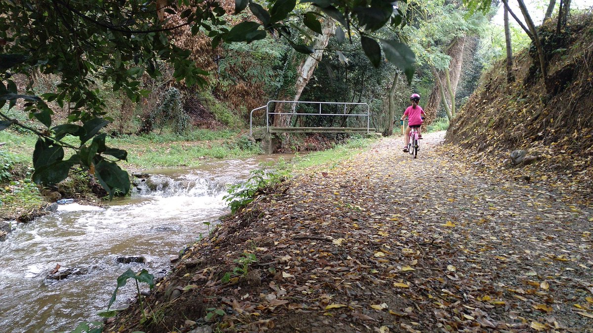jordirodoreda3's tweet image. Riera de Vilamajor, migdia 14 d'octubre. Sant Pere de Vilamajor.