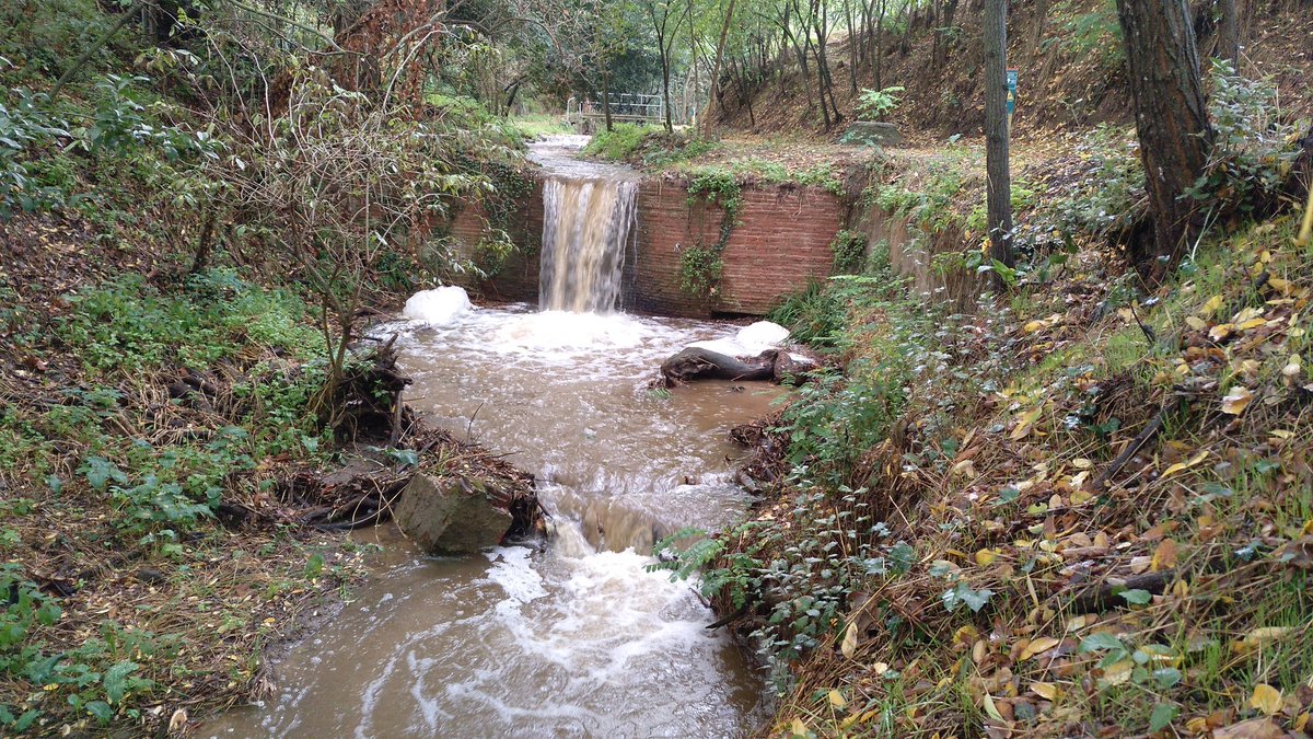 jordirodoreda3's tweet image. Riera de Vilamajor, migdia 14 d'octubre. Sant Pere de Vilamajor.