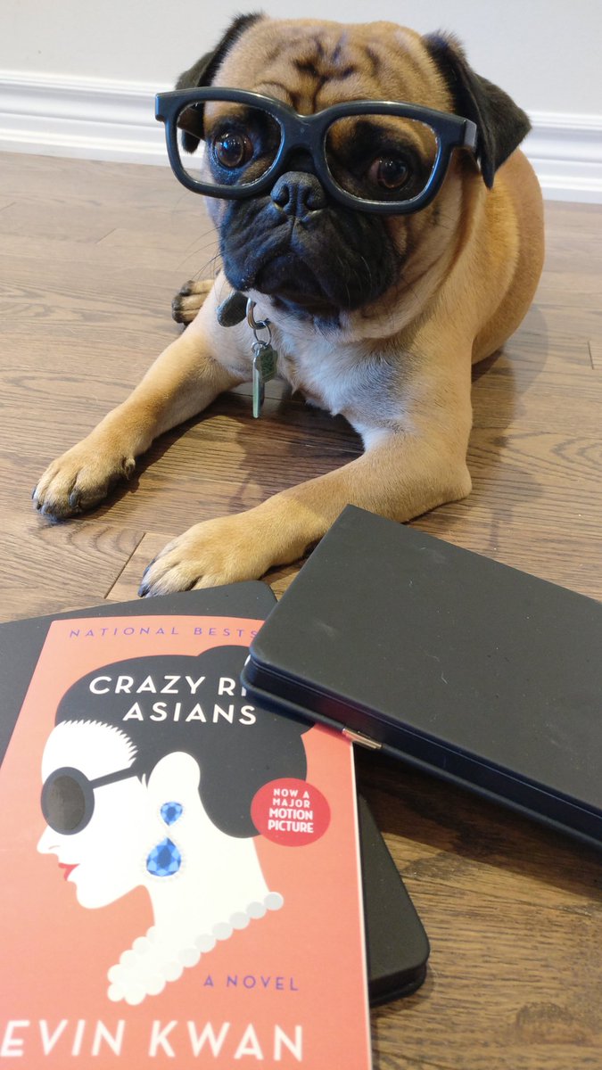 muffin_son's tweet photo. Read it before watch the movie...#CrazyRichAsians #kevinkwan #newread #books #pugs #pugsoftoronto #pugsofinstagram #pugsofmarkham #pugslove #pugslife https://t.co/zZ04InHCIA
