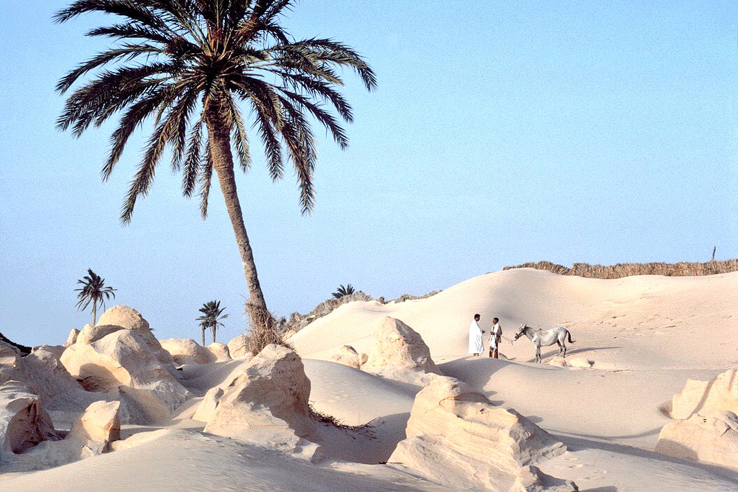 wissam_shabat's tweet photo. Tunisia, near Douz. 
‘A desert landscape’ (1990)

- Bruno Barbey https://t.co/xa8jKhIo0p
