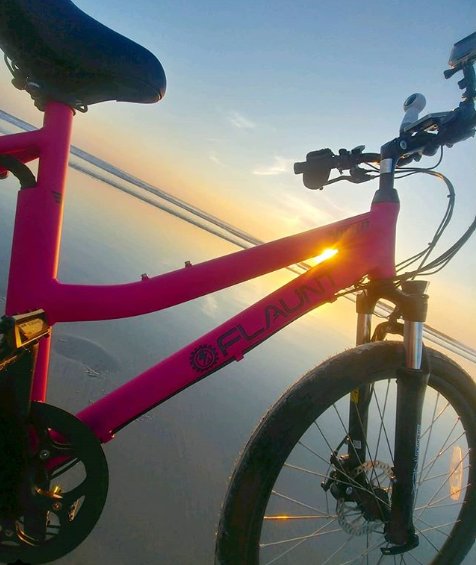 beachbikes