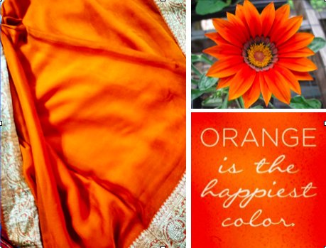 SareeStory tweet media