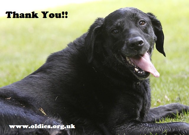 We would like to say a MASSIVE Thank You to <a href="/SharplesPet/">Sharples Pet 🦮</a> who sent us an amazing donation of pet products for our auction, We are totally in awe of the generosity. Many of the items are available for your bids! - oldies.org.uk/2018/autumn-au… …