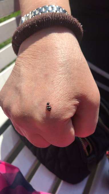 Watch Mari🪬's leaked NSFW photo on TwXstars