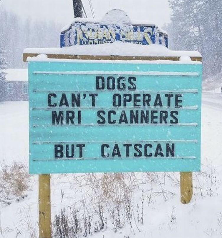 IAmBiotech's tweet photo. Your Sunday funny! 😆😂 https://t.co/ZydvOINDY9