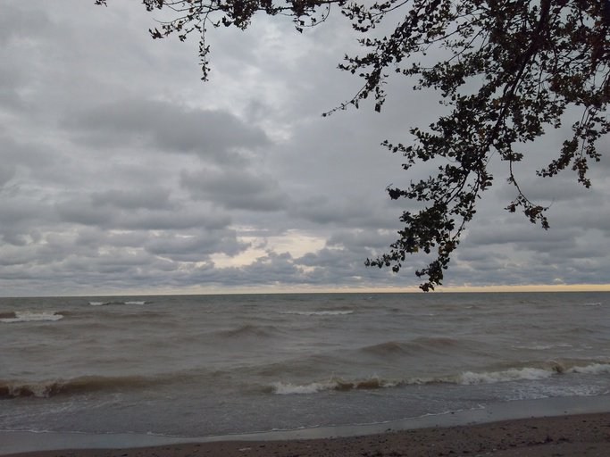 Reviewer_Cass's tweet image. Road trip!  I saved big at the pump thanks to  #FuelPointsForDays #Ad #MyMagazineSharing mymagazinesharing.us