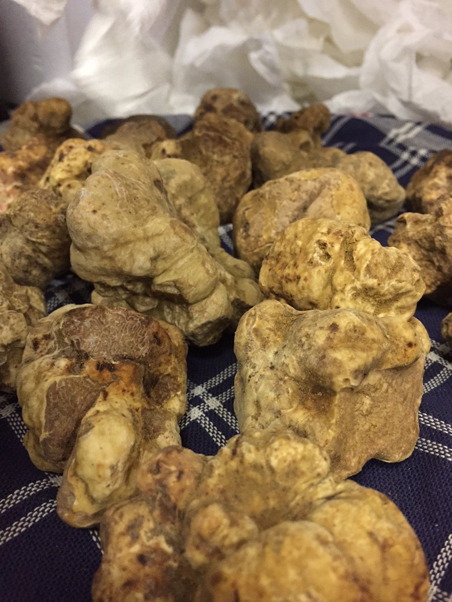 CheeseStoreBH's tweet photo. Truffles! Winter White Truffles are in! Rare and hard to find, these aromatic and earthy treasures glorify the season's dishes. Indulge your senses. #truffles #wintertruffles #whitetruffles #trufflesfromitaly #alba #italy #gourmet #cheeseshop #beverlyhills #luxurylifestyle https://t.co/CfdGntRHDl