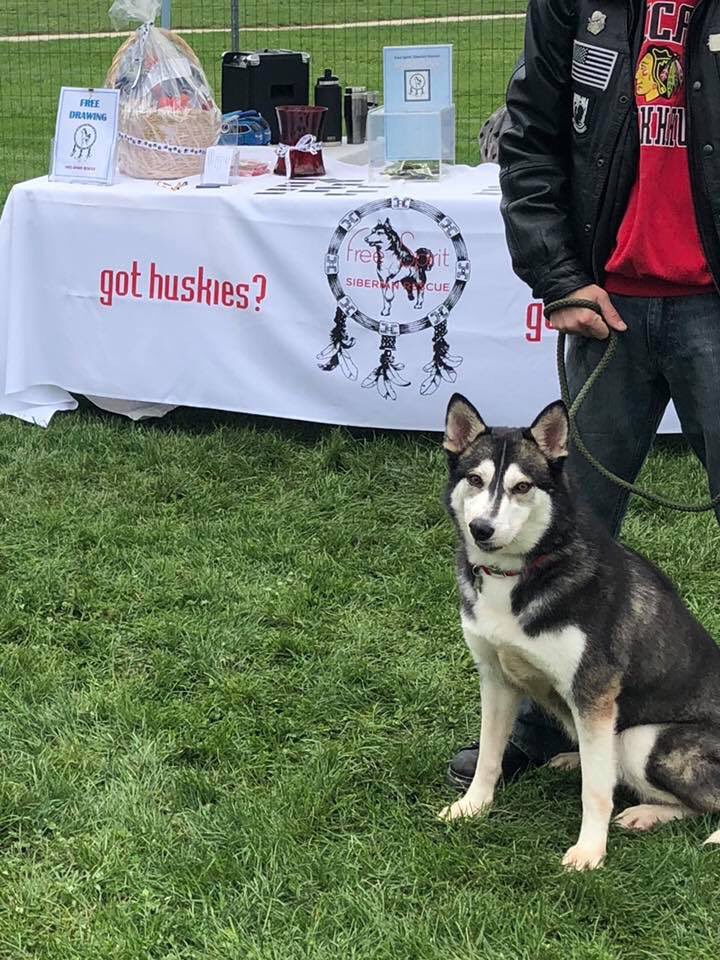 Fssr Fssrhuskies Twitter