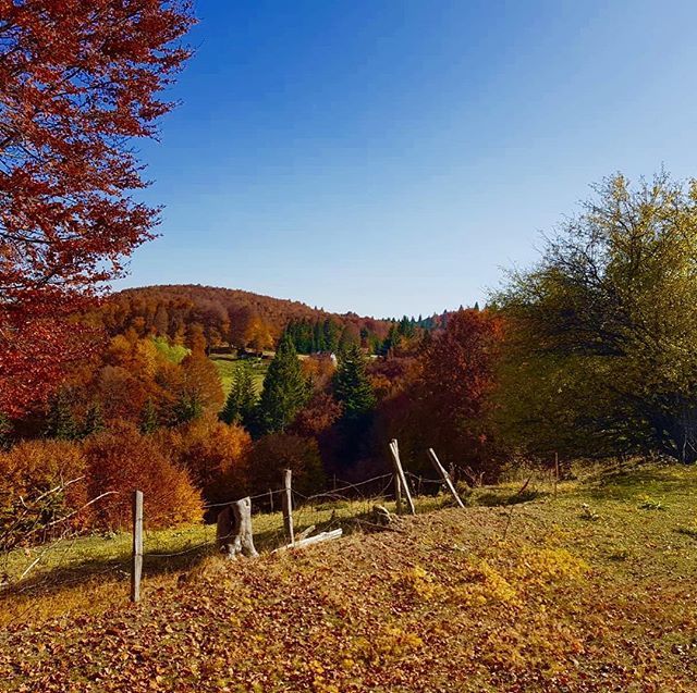 VisitTetova's tweet photo. https://t.co/lZBBQ41zMK https://t.co/70eMc0PsmR