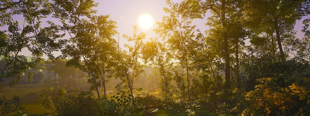 ScumGame's tweet photo. Happy Sunday to everyone except people who tell us we should stop tweeting! Also go buy our game https://t.co/ibl3Ki340J 😘 https://t.co/ZvSEPZ4mzq