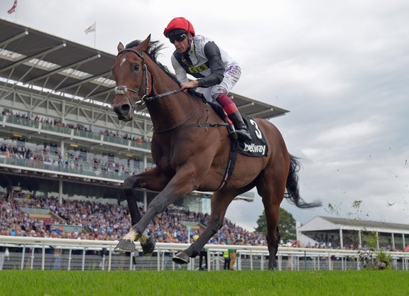 figuresAndy's tweet image. To celebrate the up and coming launch of our NEW Speed Figures Selector - we are giving away 4 x Champions Day tickets. 

Simply follow, retweet and reply with &apos;#AndysGiveaway&apos; to enter.

Winners chosen on Tuesday.

andyholdingspeedfigures.co.uk