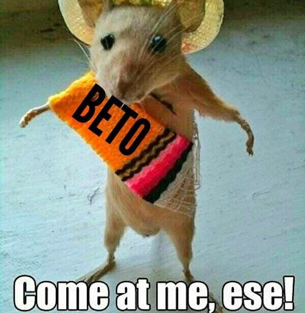 SpcPirate's tweet photo. @kimguilfoyle @sassymouth7 #VetoBeto The Fraud @tedcruz #VoteRedNovember6 in #Texas Keep Texas Great! https://t.co/PdoRTYAVxR