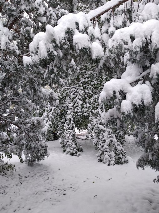 My new front yard is an icebox, and couldn't be more pleased 😍 https://t.co/EPJG9Tbqug<a href="/tag/pornhub"class="tags"><span>#pornhub</span></a><a href="/tag/fallout4"class="tags"><span>#fallout4</span></a>