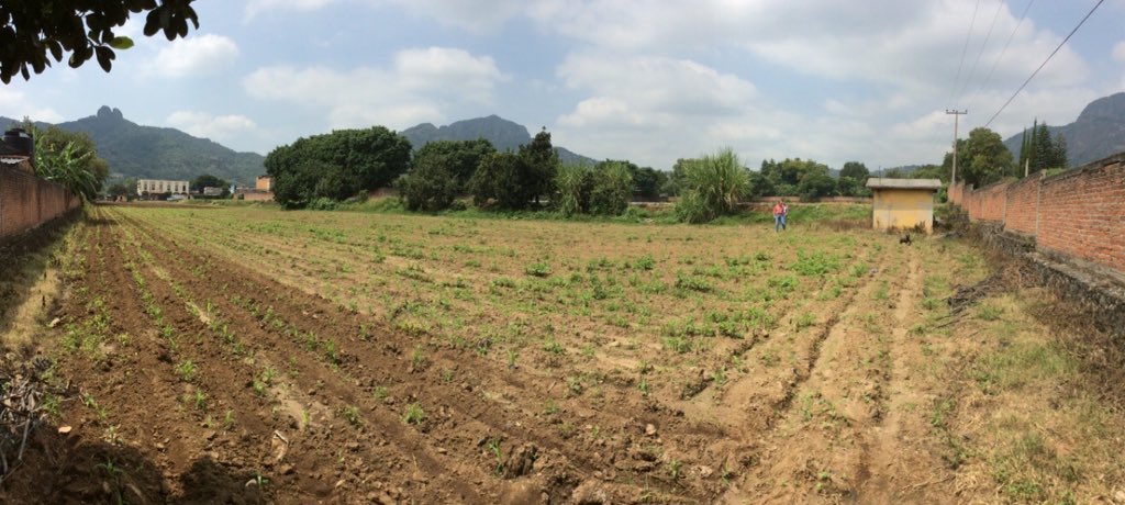 Tepozltan's tweet photo. SE VENDEN 6 MAGNIFICOS TERRENOS EN TEPOZTLAN: tepoztlan2015@gmail.com https://t.co/7T4Nf4U2Zs