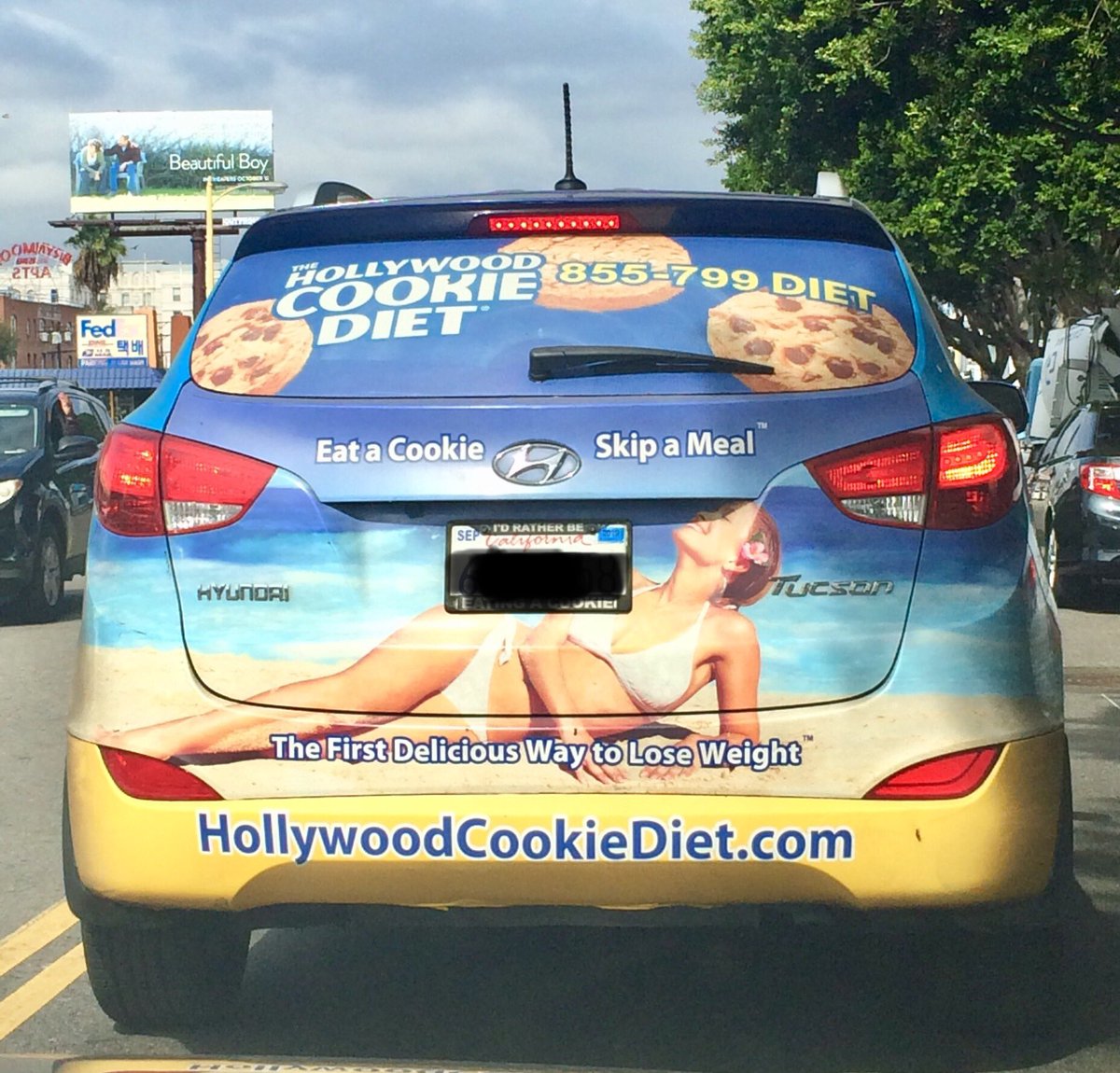 There isn’t one universal diet that people should follow...but, I don’t think this counts as an alternative solution.