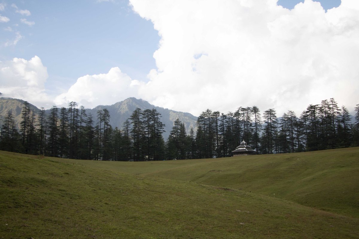 Shangarh_'s tweet photo. It's believed that the meadows of Shangarh were created to be Paradise on Earth for the gods. The land was purified and that's the reason not a single stone can be found here.

#shangarh #sainjvalley #himachalpradesh #tourism #ecotourism #travelphotography #travel #travelholic https://t.co/IBQgJJ6806