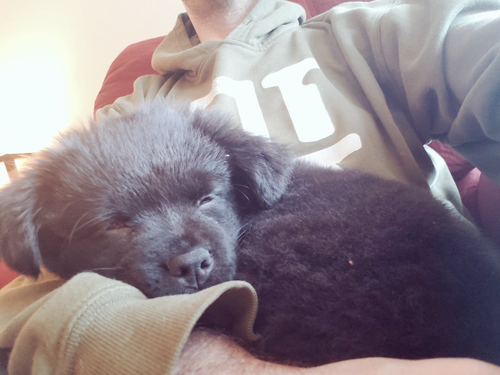 Noam Blum tweet media