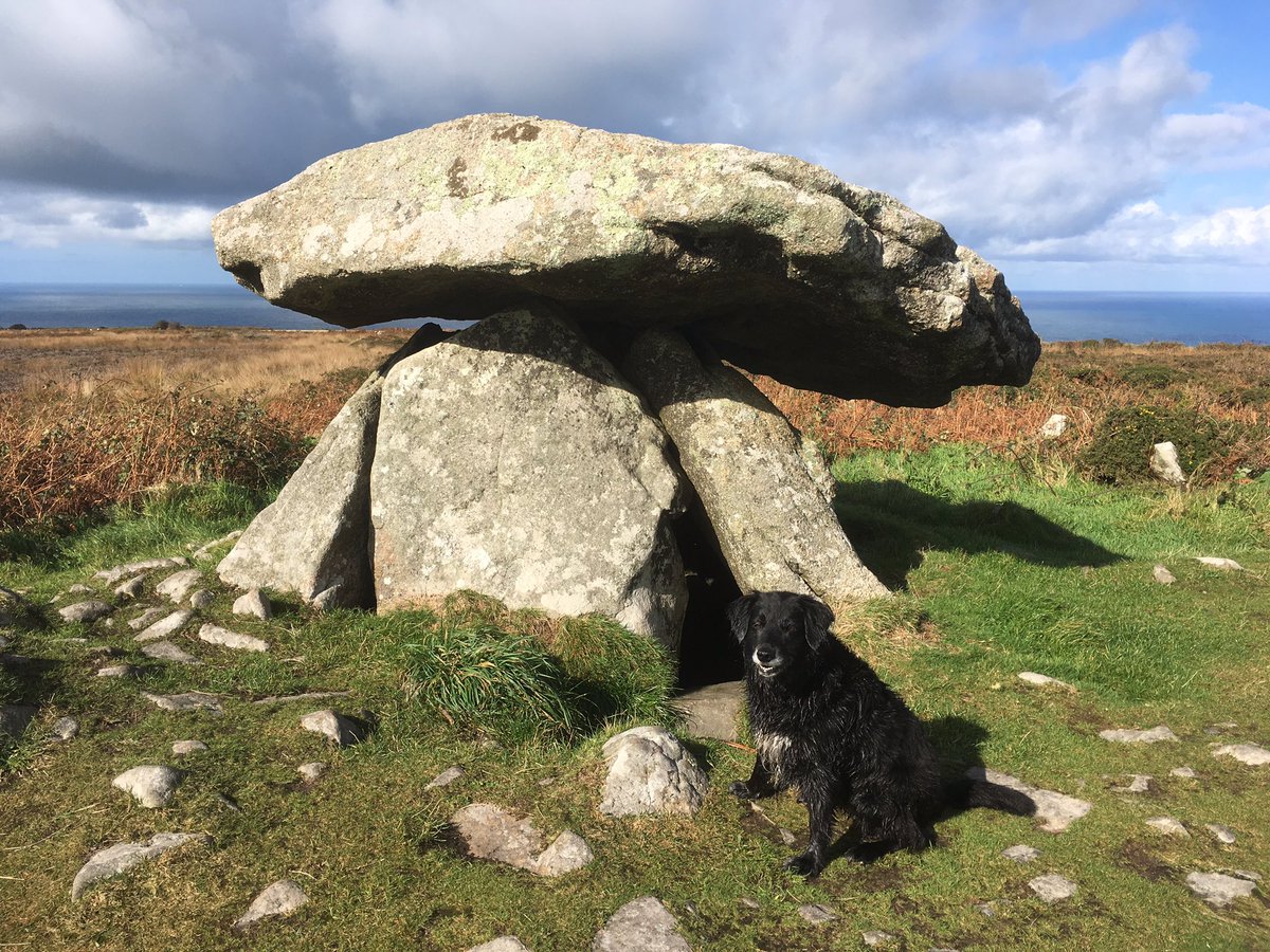 NerissaDawn's tweet photo. Doggies on holiday- day 3.
Zoe at #ChunQuoit a #burialmound and #AncientMonument on the downs of #WestPenwith #Cornwall. #DoggiesOnHoliday https://t.co/QcpOKzVzpf