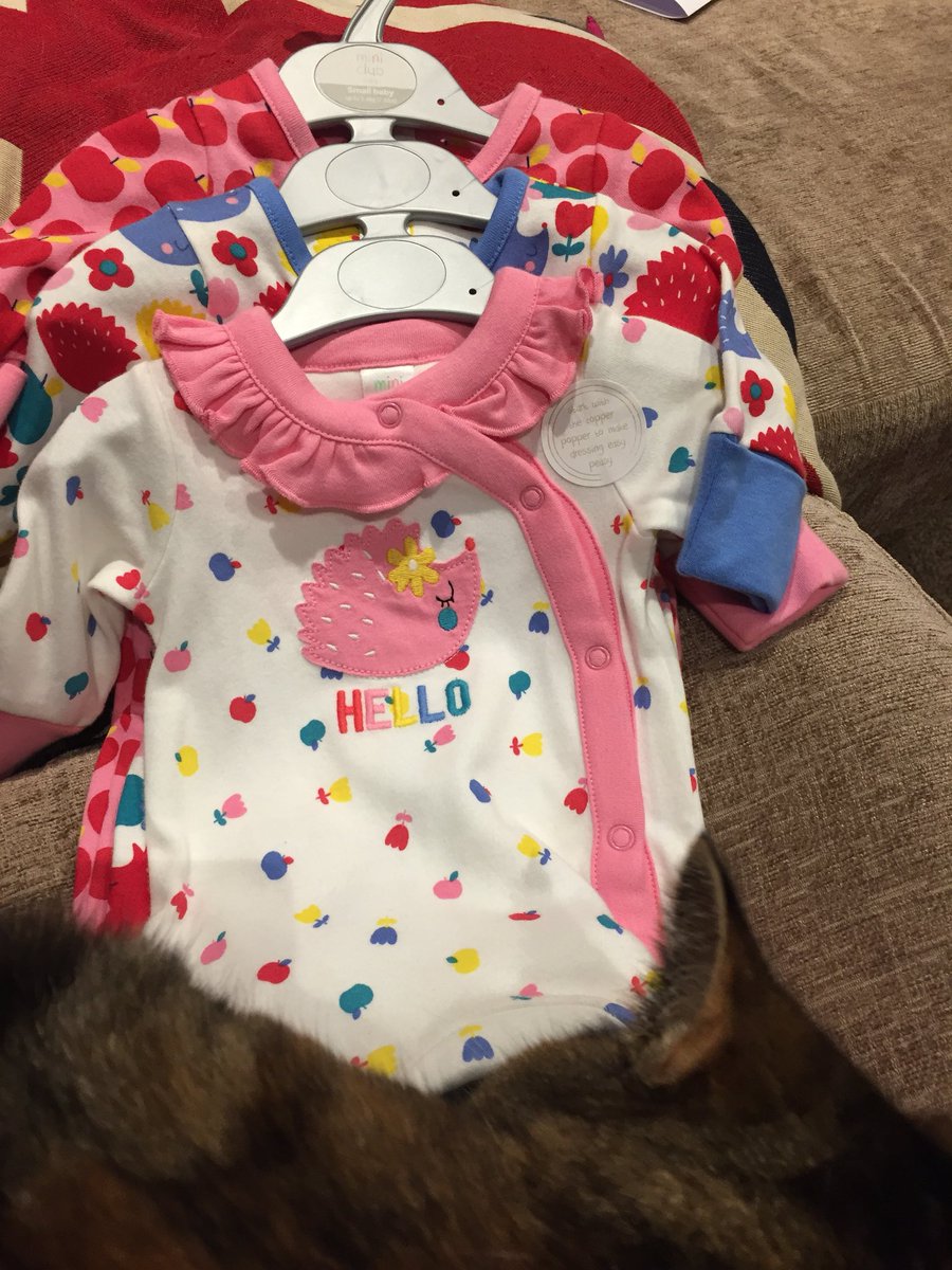 hopefulmummy83's tweet photo. Hedgehog babygrows!!!

♥️🦔♥️🦔♥️

From @BootsUK @bootsminiclub 

#myfavouriteanimal #bootsminiclub #babygirl #pregnant #21wks https://t.co/WJEbIrsDmb