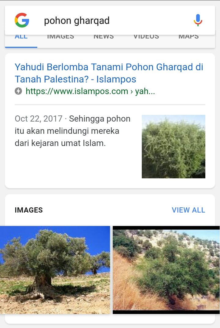 Gharqad pohon Pohon Gharqad