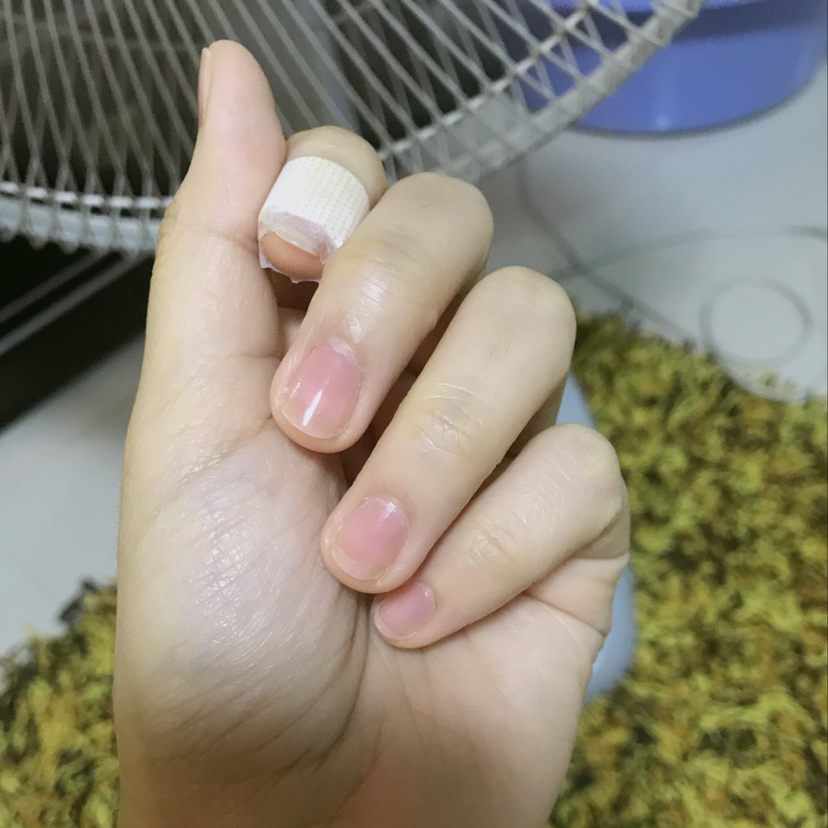 bubbunnies's tweet photo. วันนี้ได้ของมาเล่นใหม่ของetude เป็นตัวบำรุงเล็บที่มีส่วนผสมของเคราตินด้วย ทาแล้วให้สีชมพูอ่อนๆ เงาๆ เล็บมีความเล็บคุณ��นูสุขภาพดีมากกก อันนี้ทารอบเดียวเอง แห้งไวกลิ่นไม่แรง สามารถทาทับหลายๆรอบให้ชมพูขึ้นได้ด้วยง��บ 210บาทที่ช้อปetude 💫💗 #ไว้รีวิวห้ามขายของโว้ยย https://t.co/c2nBJbUmFJ