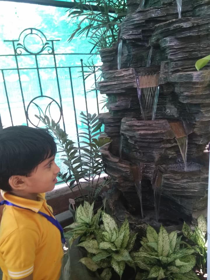 littlebrooksmum's tweet photo. What an amazing day! Full of sunshine and happy faces! A field trip to the Ferntastica Gardens. A Beautiful plant nursery with a "bouquet" of plants #cactusplants #cycleplants #bottleplants #lovelycreepers #shadeplants #terrariumbowls #verticalgardening #littlebrooks #Chembur https://t.co/1rifFOTRER