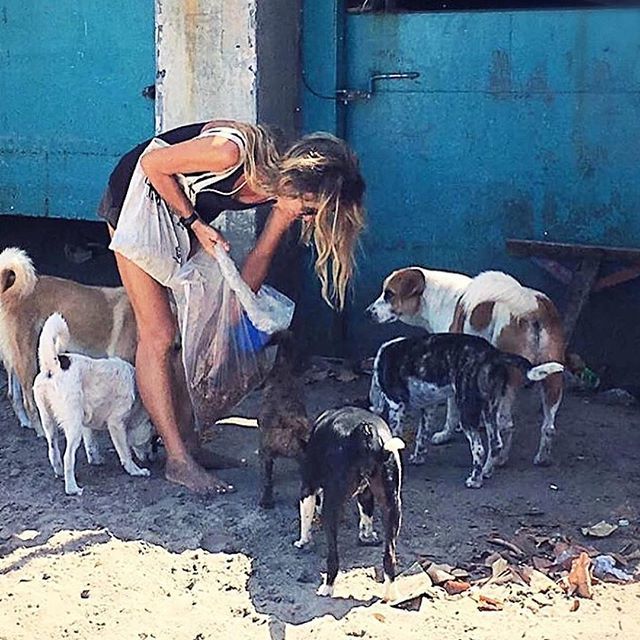 ILoveBaliDogs1's tweet photo. #Repost @francibalidog with @get_repost
・・・
#feedingdogs #onthebeach @ilovebalidogs #balidog #beachdog #bali #love #care #compassion #doglover #kutabeach #straylove #beachlife #adoptdontshop #mybali #savebalidogs #rescue #helpingdogs #dontbreedorbuy … https://t.co/cv9EmrpYS2 https://t.co/wtJnOCDXi1