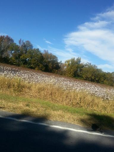 foxywinter's tweet image. I saved big at the pump thanks to #KrogerCo! #FuelPointsForDays #Ad #MyMagazineSharing mymagazinesharing.us