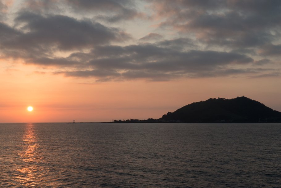 Hi_Im_Willow_'s tweet image. As a virtual assistant, I can help you with  social media management, blogging  and email campaigns, among other services. Please get in touch if you need help! #va #virtualworker #assistant