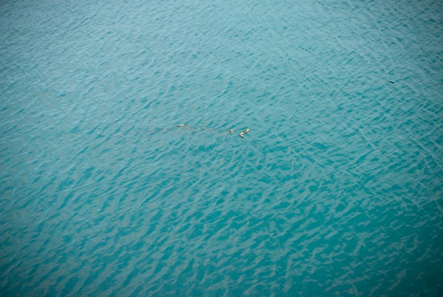 Hi_Im_Willow_'s tweet image. As a virtual assistant, I can help you with  social media management, blogging  and email campaigns, among other services. Please get in touch if you need help! #va #virtualworker #assistant