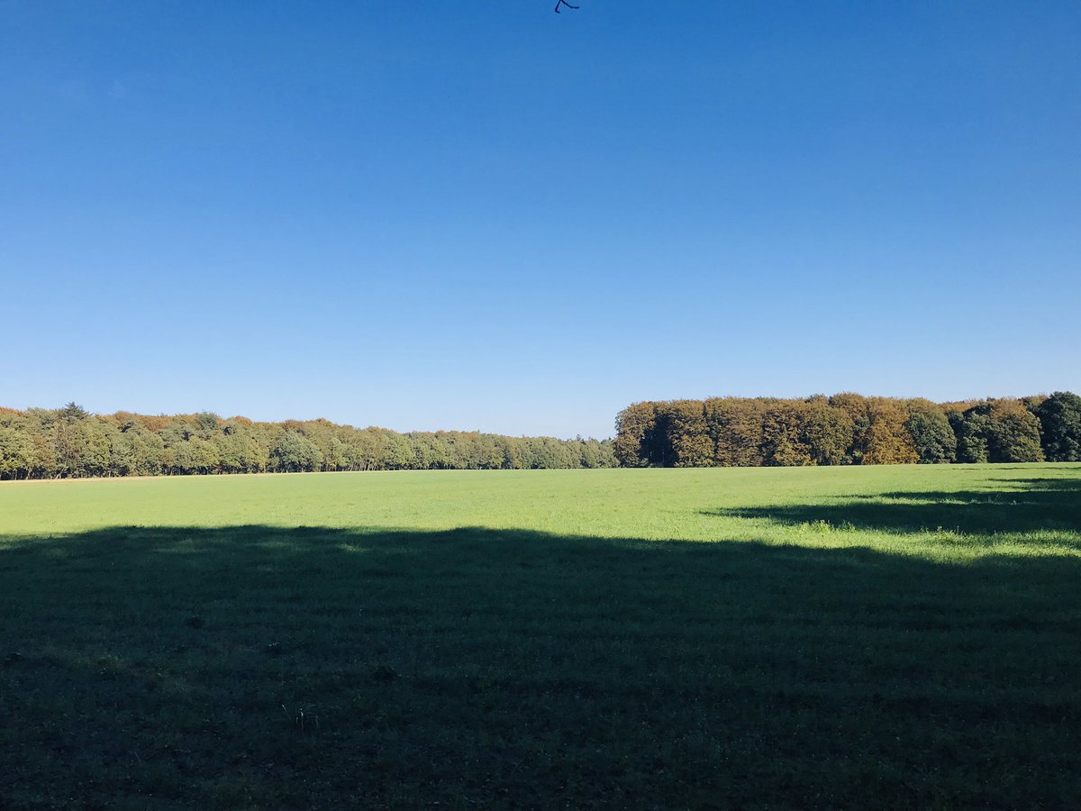 ton_lesscher's tweet photo. Lekker gewandeld in #hetspringendal vanmiddag https://t.co/QVThMhZajP