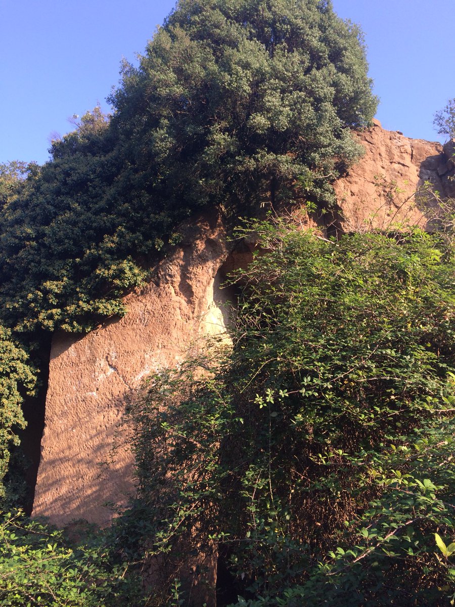 Associazione Quattro Sassi tweet media