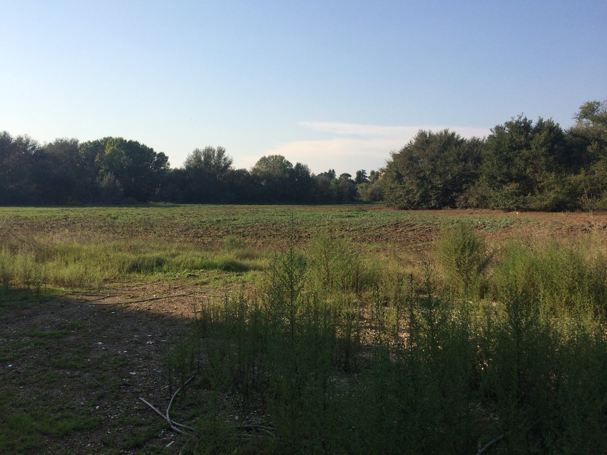 Associazione Quattro Sassi tweet media