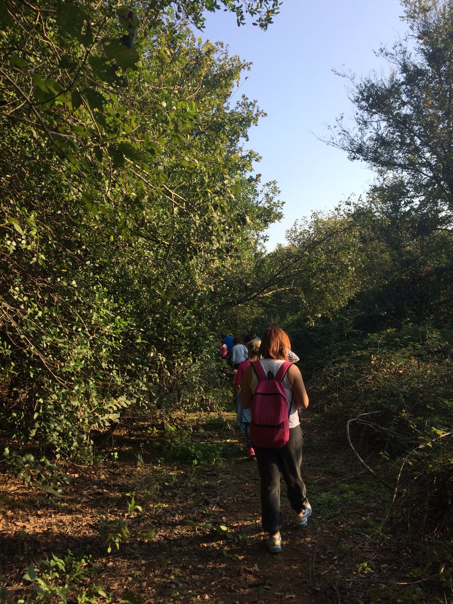 Associazione Quattro Sassi tweet media