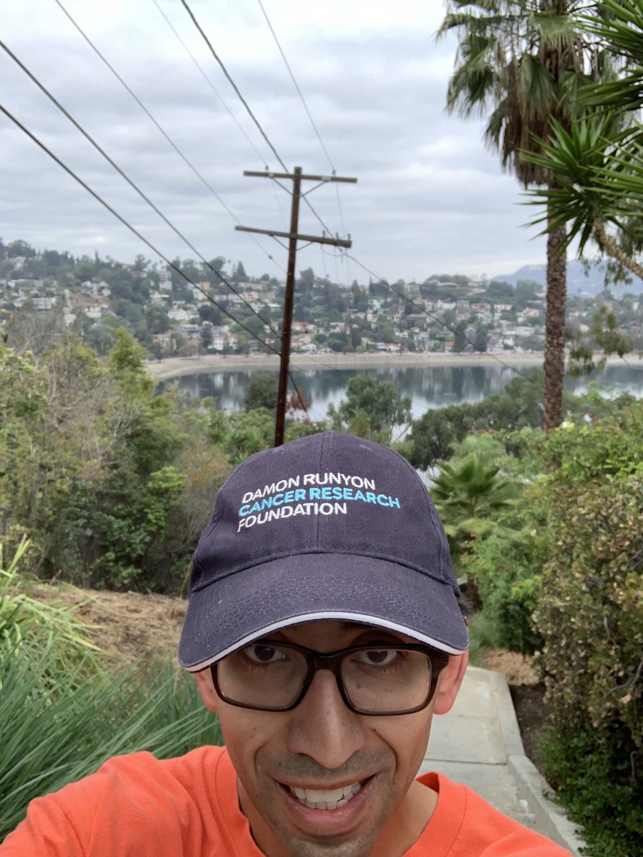 apwiita's tweet photo. Good morning #LA! Even on the road gotta get in my @runyonup @DamonRunyon training at Mattachine steps in Silver Lake - one week to go!

#trainingday https://t.co/FF0UwiRApz