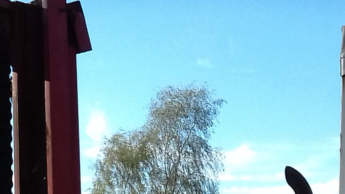 Bizde sana asigiz ya ilahi