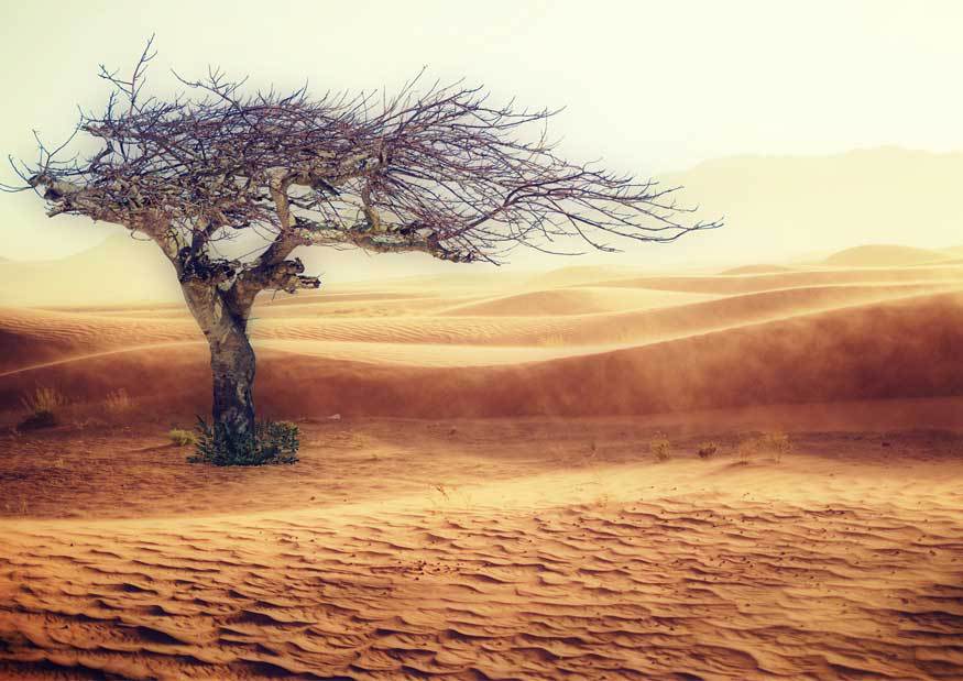ElDictamen's tweet photo. Sufrirá México el cambio climático - https://t.co/LnF0NceIMh
#NoticiasELDICTAMEN 📰 https://t.co/Bz5YSRwWgQ