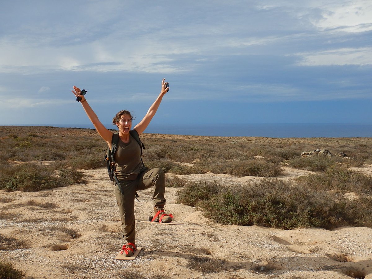Last days in #SelvagemGrande!
Now I know how #seabirds feel when walking on land! Waddling through the colony of white-faced storm #petrel to estimate the number of burrows occupied this breeding season #ornithology #fieldwork #PhD <a href="/Atlant_Migrants/">Atlantic Migrants</a>