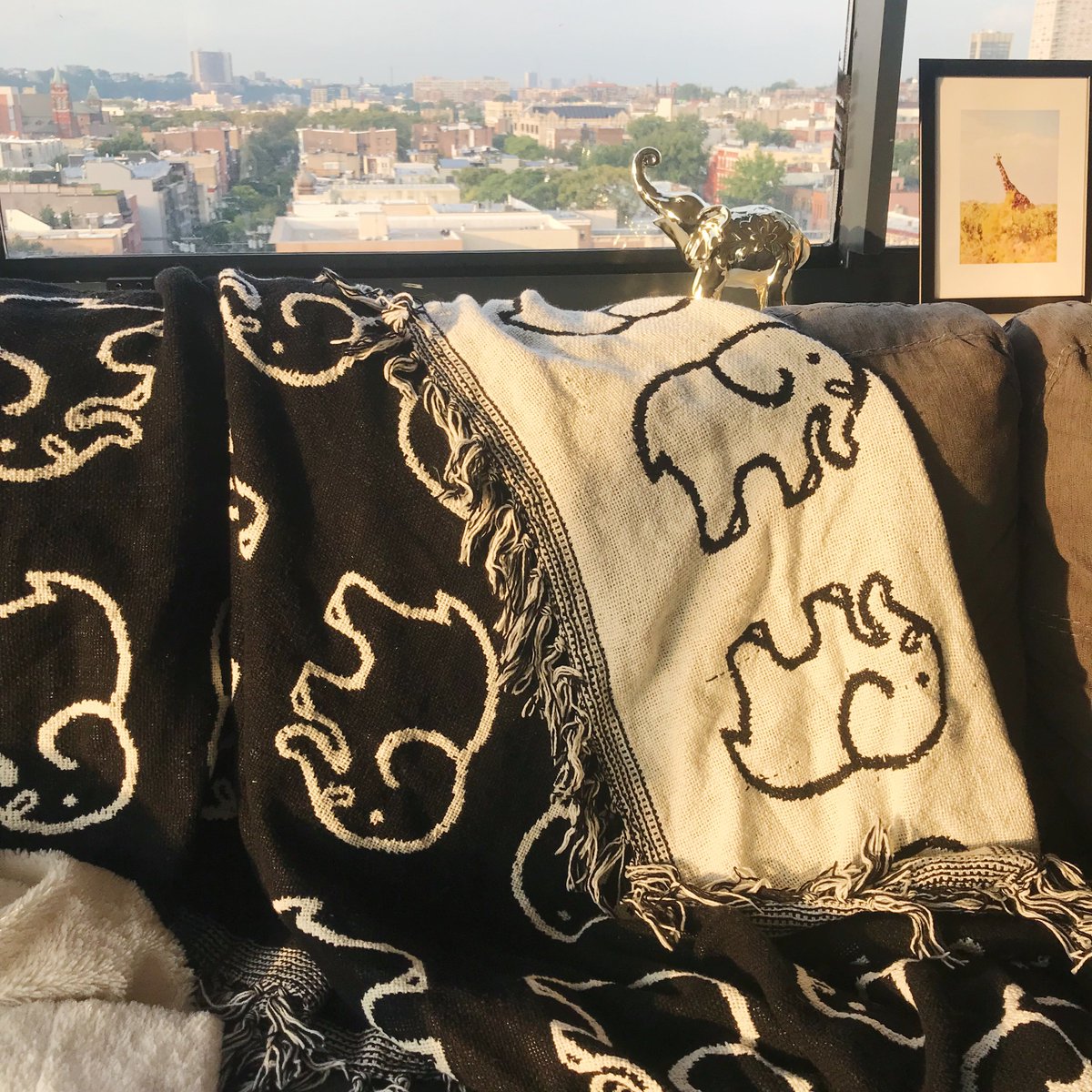 shopivoryella's tweet photo. Our Ella Print Throw is available right and can really brighten your room. You can get yours now https://t.co/1wYSJiRFdD  ☀️🐘 https://t.co/04CZaJFAXH