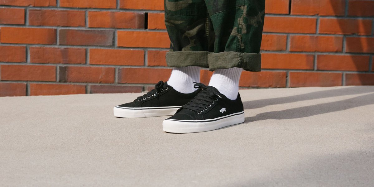 black vans court