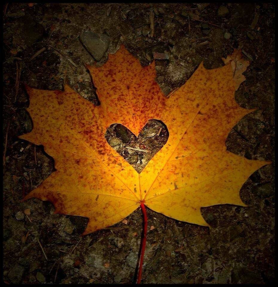 RockinRachi92x's tweet photo. ✨ #HappySunday Fam!!! 😘❤🍂🍁 #SendingLoveAndHugs #Autumn #Motivation #SundayThoughts #ChooseKindness #BeFearlesslyAuthentic ✨ https://t.co/wYEhxRd7qq