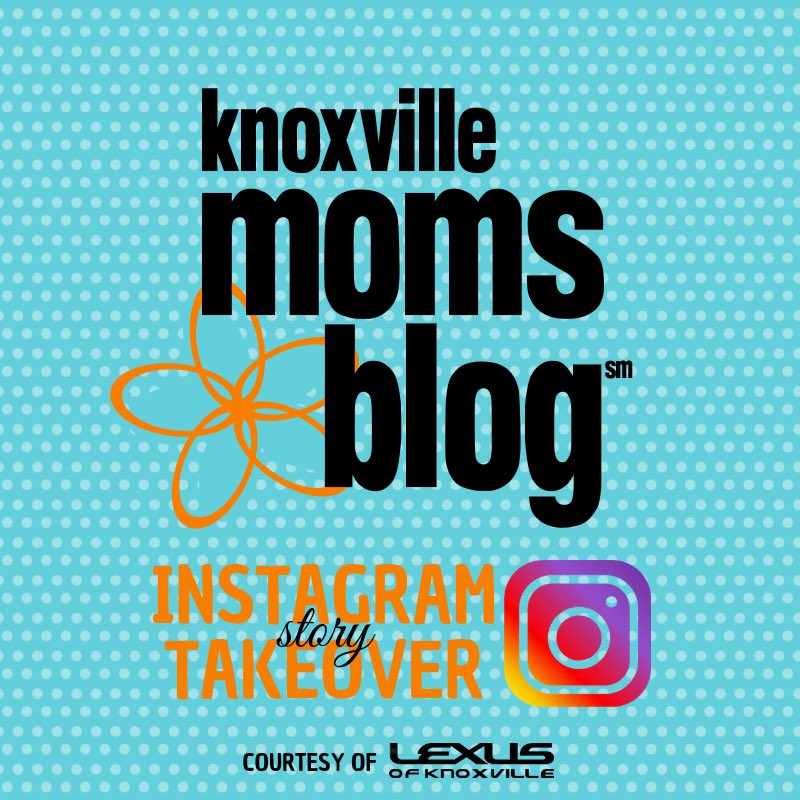 lexusknox's tweet photo. Laura O’Brien has taken over the @knoxmomsblog #Instagram account to show off the new 2019 #Lexus #ES350 for the #LexusDriverExperience! Check it out: https://t.co/9R0GfejPy3 https://t.co/gWWqdBUE1c